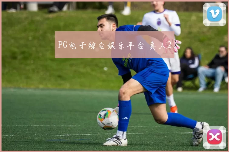 PG电子综合娱乐平台 真人2