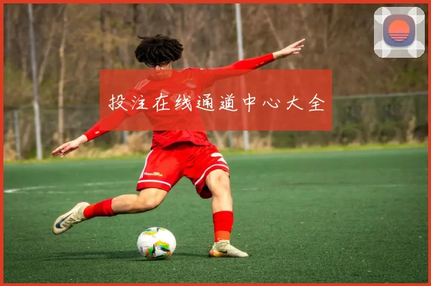 投注在线通道中心大全