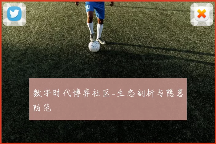 数字时代博弈社区_生态剖析与隐患防范