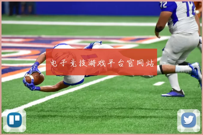 电子竞技游戏平台官网站