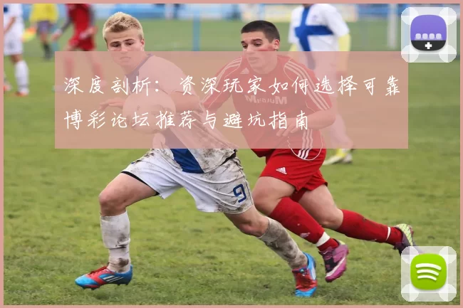 深度剖析：资深玩家如何选择可靠博彩论坛推荐与避坑指南