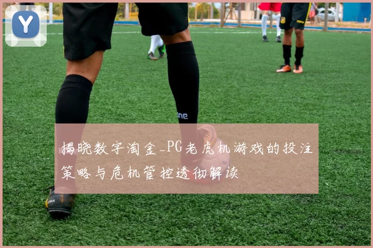 揭晓数字淘金_PG老虎机游戏的投注策略与危机管控透彻解读