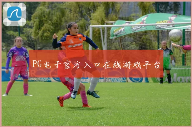 PG电子官方入口在线游戏平台