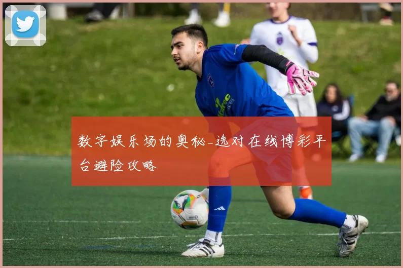 数字娱乐场的奥秘_选对在线博彩平台避险攻略