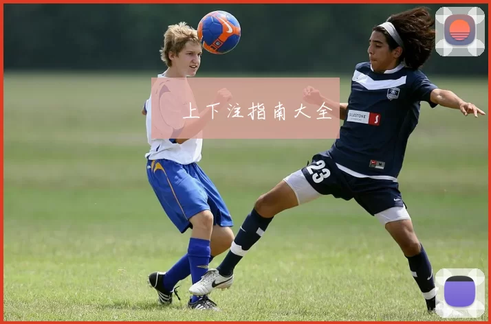 網上下注指南大全