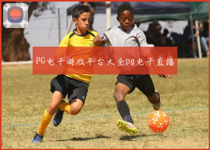 PG电子游戏平台大全pg电子直播