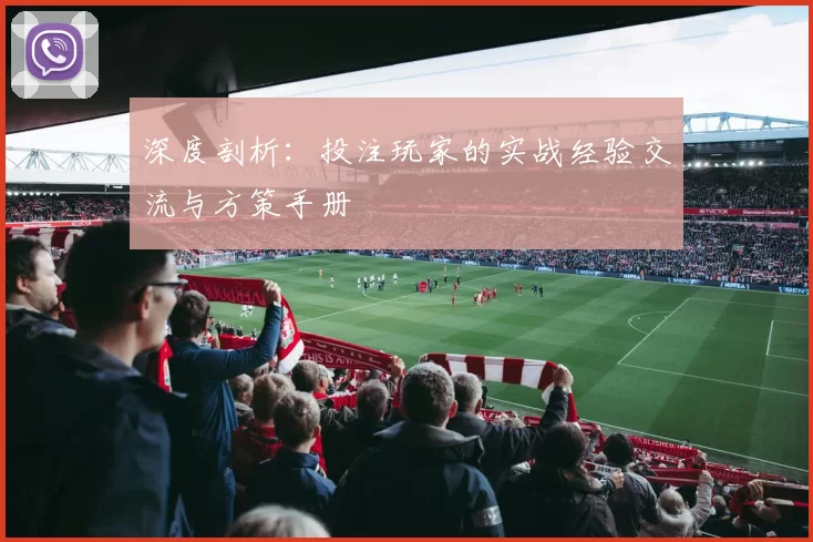 深度剖析：投注玩家的实战经验交流与方策手册