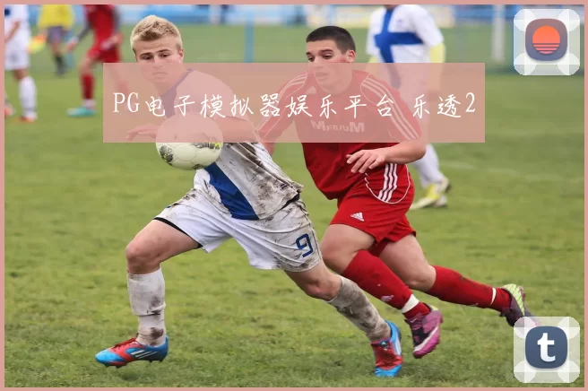 PG电子模拟器娱乐平台 乐透2