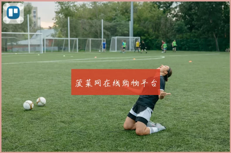 菠菜网在线购物平台