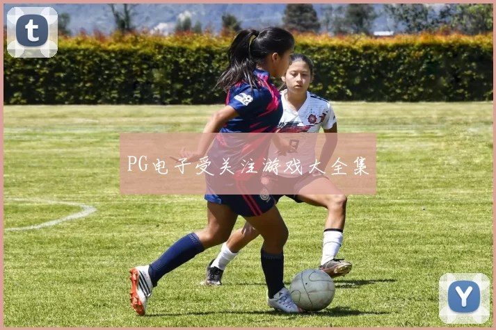 PG电子受关注游戏大全集