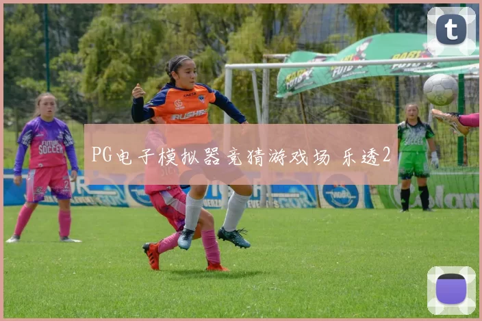 PG电子模拟器竞猜游戏场 乐透2