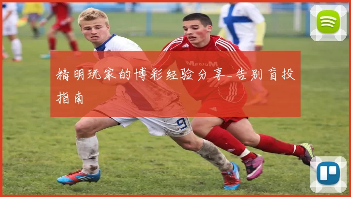 精明玩家的博彩经验分享_告别盲投指南