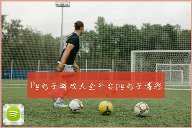 Pg电子游戏大全平台pg电子博彩