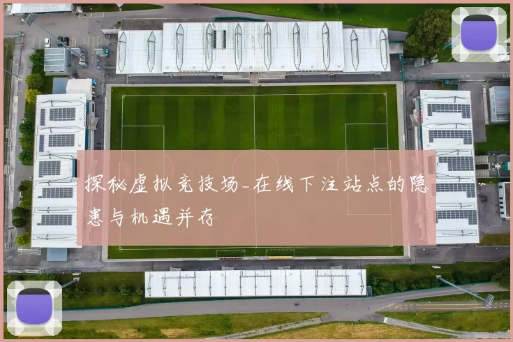 探秘虚拟竞技场_在线下注站点的隐患与机遇并存