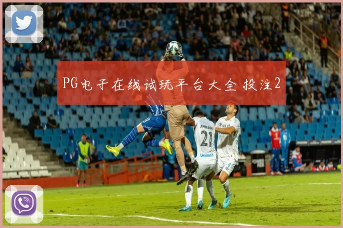 PG电子在线试玩平台大全 投注2