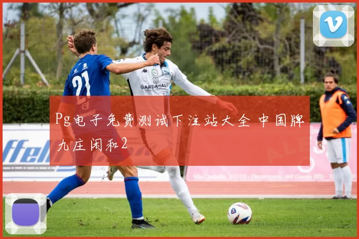 Pg电子免费测试下注站大全 中国牌九庄闲和2