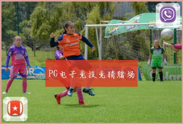 PG电子竞技竞猜赌场