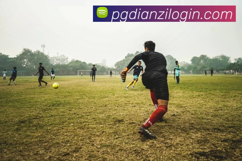 数据防护可视化